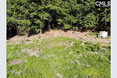 5583 Deadfall Road, Silverstreet, SC 29145 - Photo 8