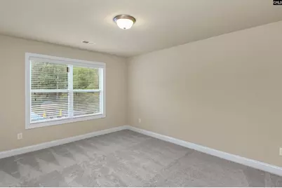 769 Dutchmans Branch Court, Irmo, SC 29063 - Photo 52
