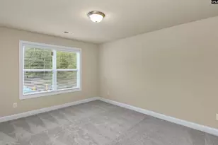 769 Dutchmans Branch Ct, Irmo, SC 29063 - Photo 52