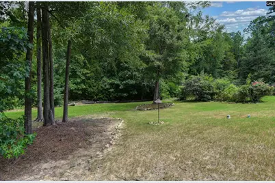 769 Dutchmans Branch Court, Irmo, SC 29063 - Photo 64