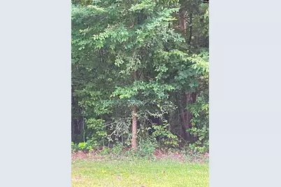 11 Otter Trail Court, Columbia, SC 29203 - Photo 1