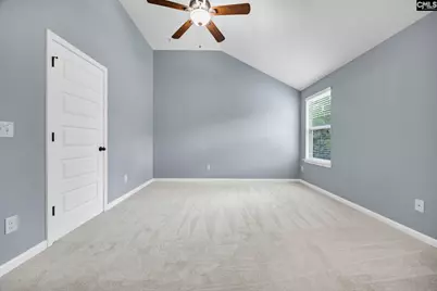 454 Hollow Cove Road, Chapin, SC 29036 - Photo 46