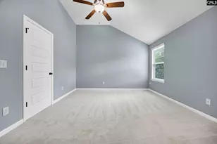 454 Hollow Cove Rd, Chapin, SC 29036 - Photo 46