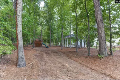 437 Lanyard Lane, Chapin, SC 29036 - Photo 38