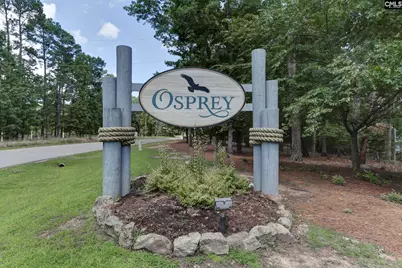 437 Lanyard Lane, Chapin, SC 29036 - Photo 34