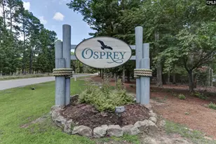 437 Lanyard Ln, Chapin, SC 29036 - Photo 34