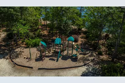136 Star Hill Lane, Lexington, SC 29072 - Photo 54