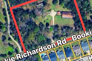 1100 Bookie Richardson Rd, Chapin, SC 29036 - Photo 30