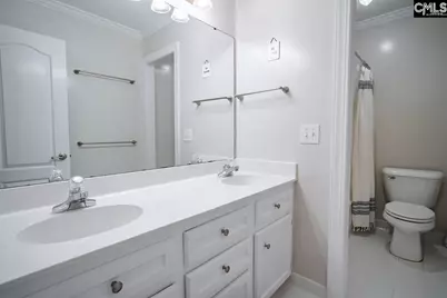 8 Oakmist Court, Blythewood, SC 29016 - Photo 28