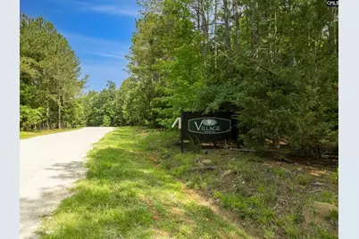 660 Clipper Trail #14, Chapin, SC 29036 - Photo 4