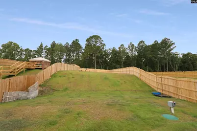 235 Hazel Rain Road, Gaston, SC 29053 - Photo 2