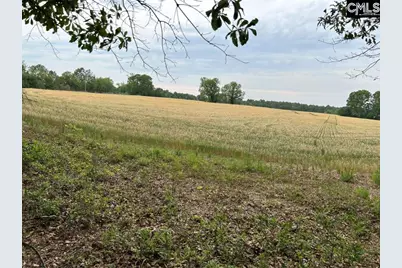 Bodie Road, Pelion, SC 29123 - Photo 2