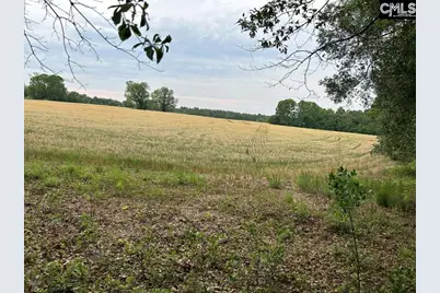 Bodie Road, Pelion, SC 29123 - Photo 1