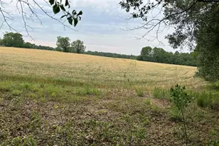 Bodie Rd, Pelion, SC 29123 - Photo 1