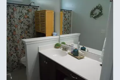 36 Ash Court, Irmo, SC 29063 - Photo 12