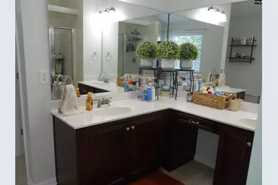 36 Ash Court, Irmo, SC 29063 - Photo 50