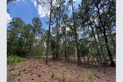 1465 6 Highway, Gaston, SC 29053 - Photo 76
