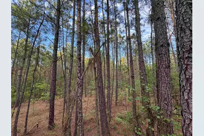 1465 6 Highway, Gaston, SC 29053 - Photo 28