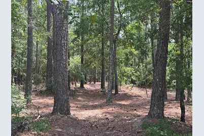 1465 6 Highway, Gaston, SC 29053 - Photo 74