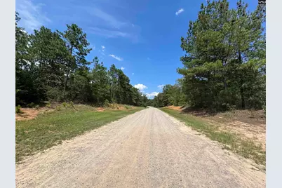 1465 6 Highway, Gaston, SC 29053 - Photo 12