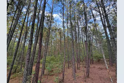 1465 6 Highway, Gaston, SC 29053 - Photo 40