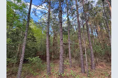 1465 6 Highway, Gaston, SC 29053 - Photo 34