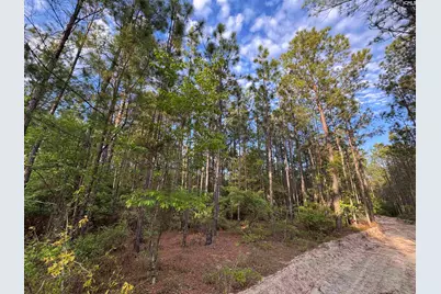 1465 6 Highway, Gaston, SC 29053 - Photo 22