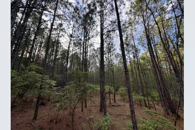 1465 6 Highway, Gaston, SC 29053 - Photo 30