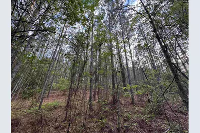 1465 6 Highway, Gaston, SC 29053 - Photo 38