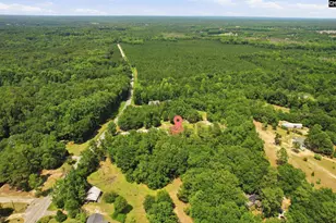 1322 Bookman Rd, Elgin, SC 29045 - Photo 48
