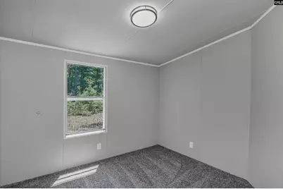 416 Otis Road, Pelion, SC 29123 - Photo 28