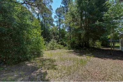416 Otis Road, Pelion, SC 29123 - Photo 44