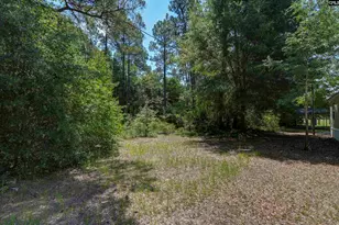 416 Otis Rd, Pelion, SC 29123 - Photo 44