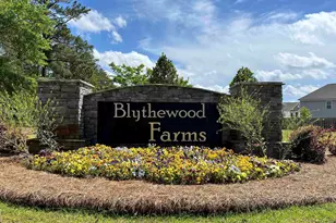 3041 Hanging Valley Rd, Blythewood, SC 29016 - Photo 32