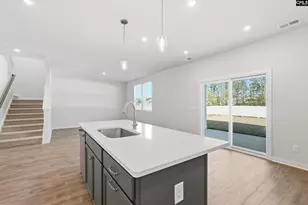 3041 Hanging Valley Rd, Blythewood, SC 29016 - Photo 10