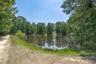 238 Hilton View Ct, Chapin, SC 29036 - Photo 54