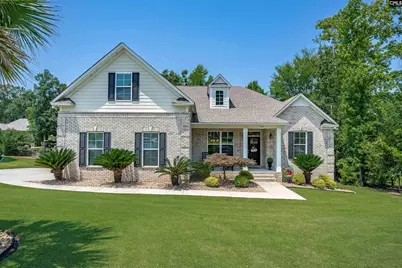 238 Hilton View Court, Chapin, SC 29036 - Photo 1
