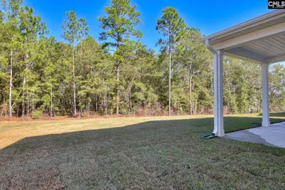 721 Feldspar Court, Chapin, SC 29036 - Photo 38