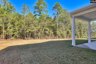 721 Feldspar Ct, Chapin, SC 29036 - Photo 38