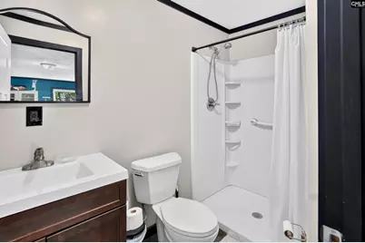 1007 Gus Sturkie Road, Swansea, SC 29160 - Photo 48