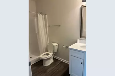 605 Bronze Fantail Run, Lexington, SC 29072 - Photo 6