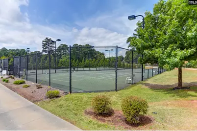 241 Pointe Overlook Drive, Chapin, SC 29036 - Photo 70