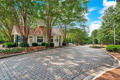 209 High Pointe Drive, Blythewood, SC 29016 - Photo 38