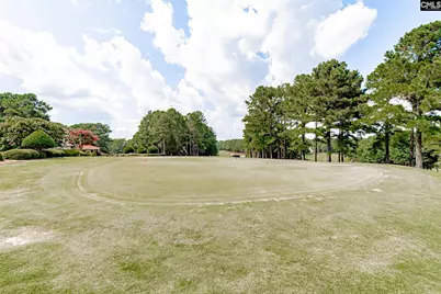 209 High Pointe Drive, Blythewood, SC 29016 - Photo 48