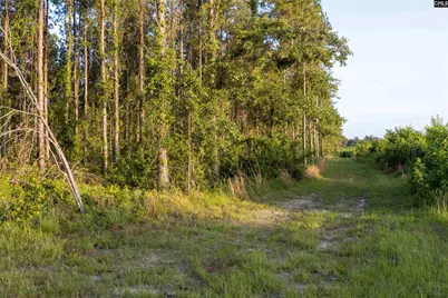Tbd Rizer Cemetary Road, Ehrhardt, SC 29081 - Photo 6