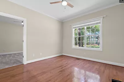 120 Overlook Drive, Blythewood, SC 29016 - Photo 14