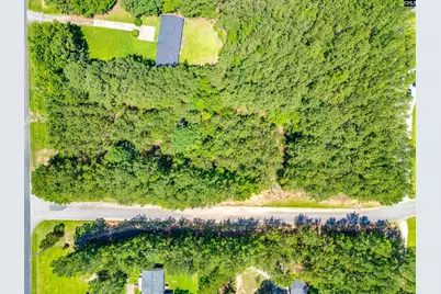 1021 NE Miles Road, Blythewood, SC 29016 - Photo 10
