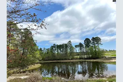 643 Thunder Gulch Avenue, Lexington, SC 29073 - Photo 32