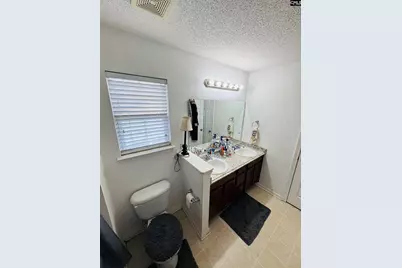 268 Foxport Drive, Chapin, SC 29036 - Photo 22