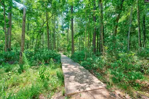 300 Sunnycrest Ln, Columbia, SC 29229 - Photo 42